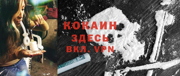 индика Семикаракорск