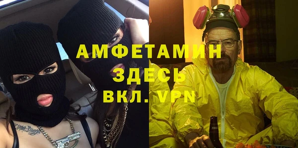 индика Семикаракорск