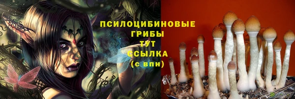 прущие грибы Сатка