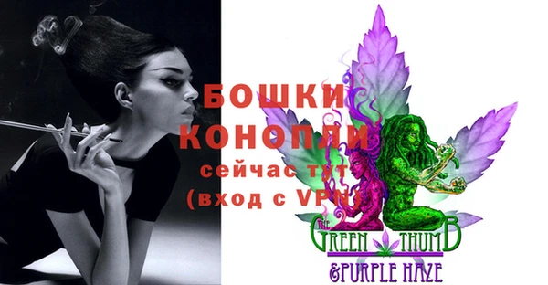 индика Семикаракорск